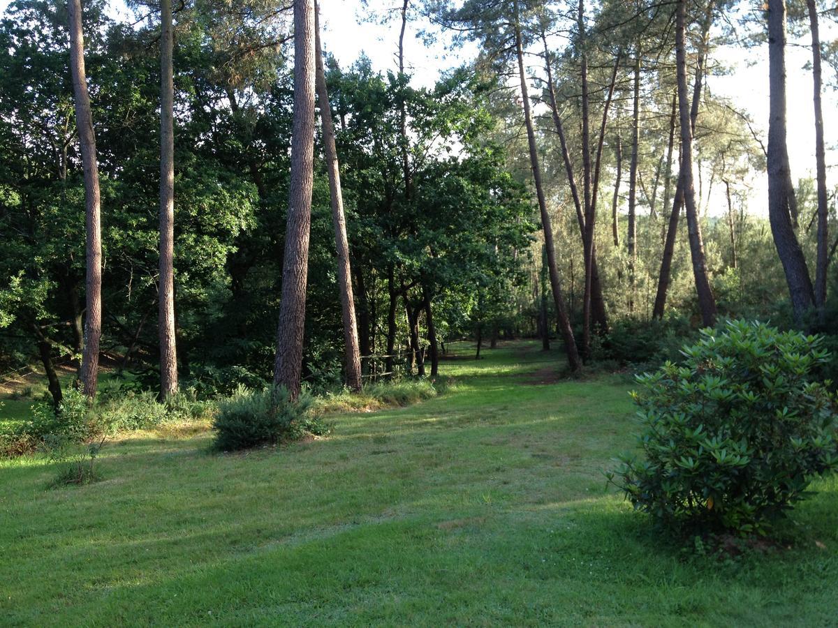 L'Hippocampe Bed & Breakfast Sérent Exterior foto