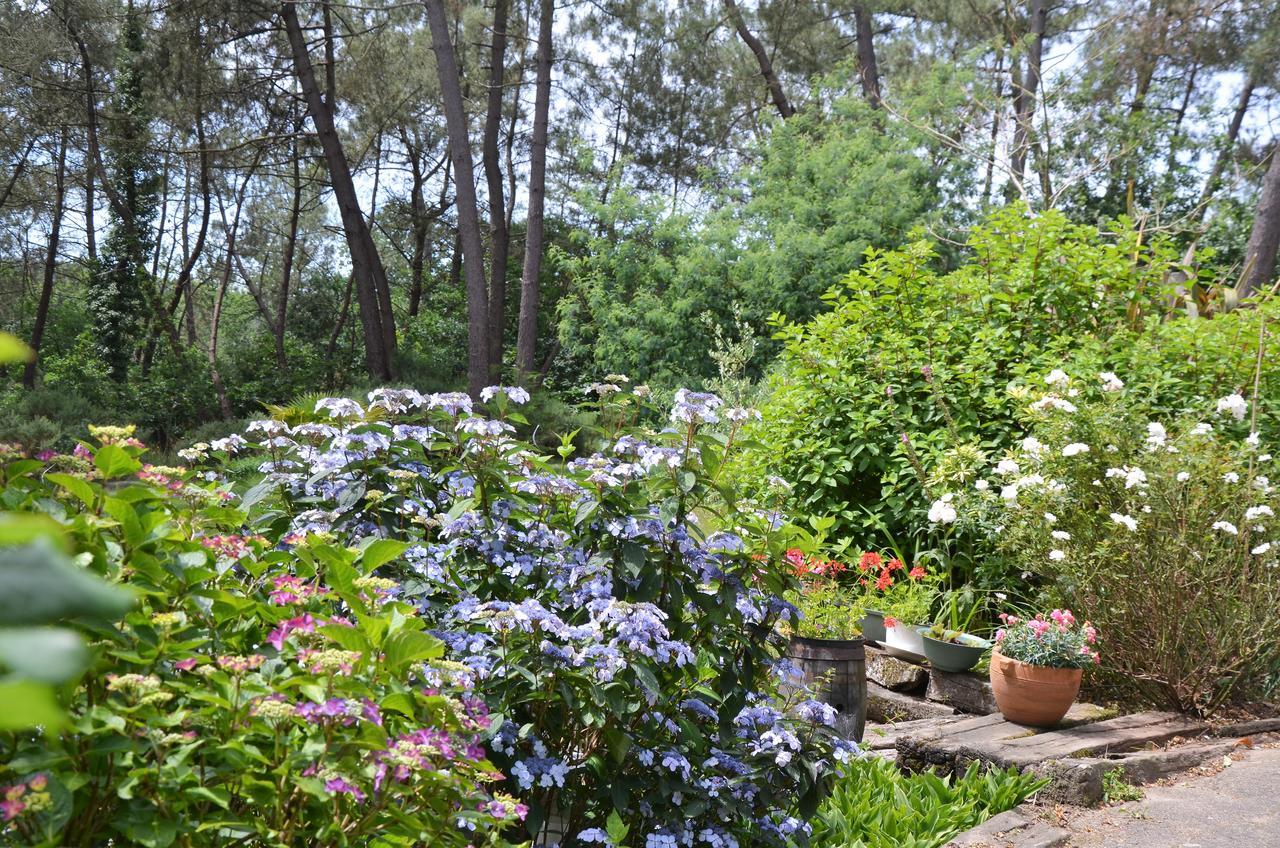 L'Hippocampe Bed & Breakfast Sérent Exterior foto